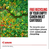 CANON PG-545 / CL-546 Ink Black and Colour Standard Capacity Black 180 SS Colour, Pack of 2 Blister without Alarm
