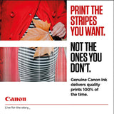 CANON PG-545 / CL-546 Ink Black and Colour Standard Capacity Black 180 SS Colour, Pack of 2 Blister without Alarm