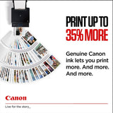 Canon PG-545 Inkjet Cartridges, Black, Standard