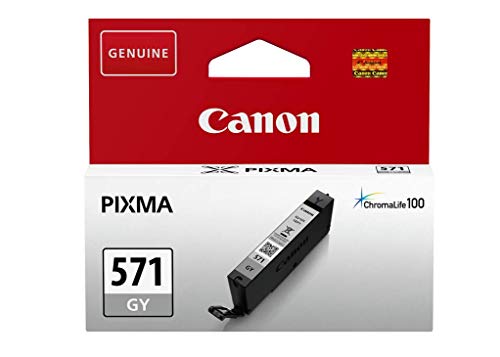 Canon Ink Cartridge - Grey